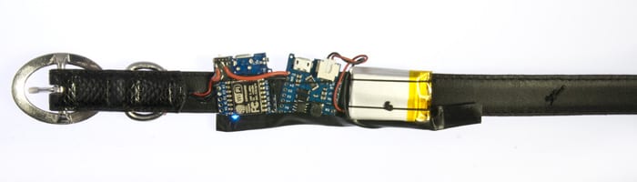 LED collar electronics board with battery and battery shield